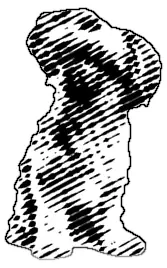 Engraved portrait of a small, long-haired dog sitting with its head tilted to one side.
