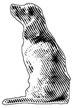 Engraved drawing of a spaniel sitting in side view with its head raised.