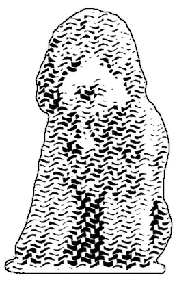 Engraved drawing of a curly-coated dog sitting up and facing front, ears falling either side of the face.
