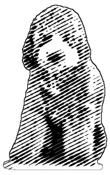 Engraved portrait of a curly-coated dog sitting up, ears falling either side of the face.
