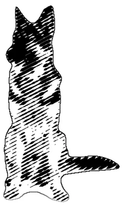 Engraved portrait of a shepherd sitting upright with its ears up and its tail along the ground.
