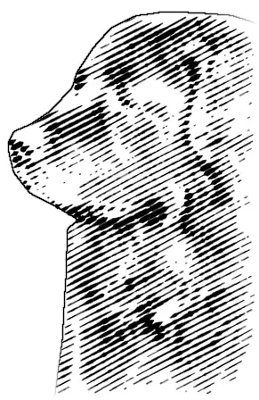 Engraved portrait of a very large black-coated dog in profile, facing left, a Newfoundland type.