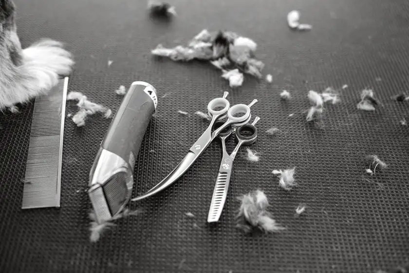 A comb, a clipper and two pairs of shears laid out on a black rubber grooming mat among clumps of cut hair.